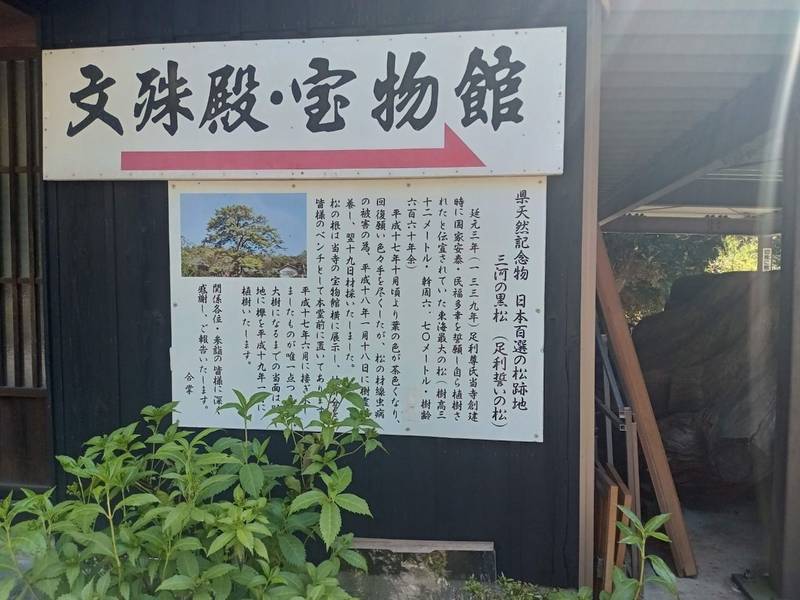 勝楽寺 (小山田地蔵尊),愛知県西尾市吉良町小山田稠34