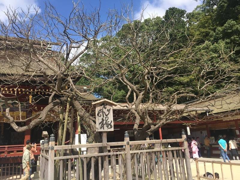 国分天満宮,福岡県太宰府市国分4丁目735