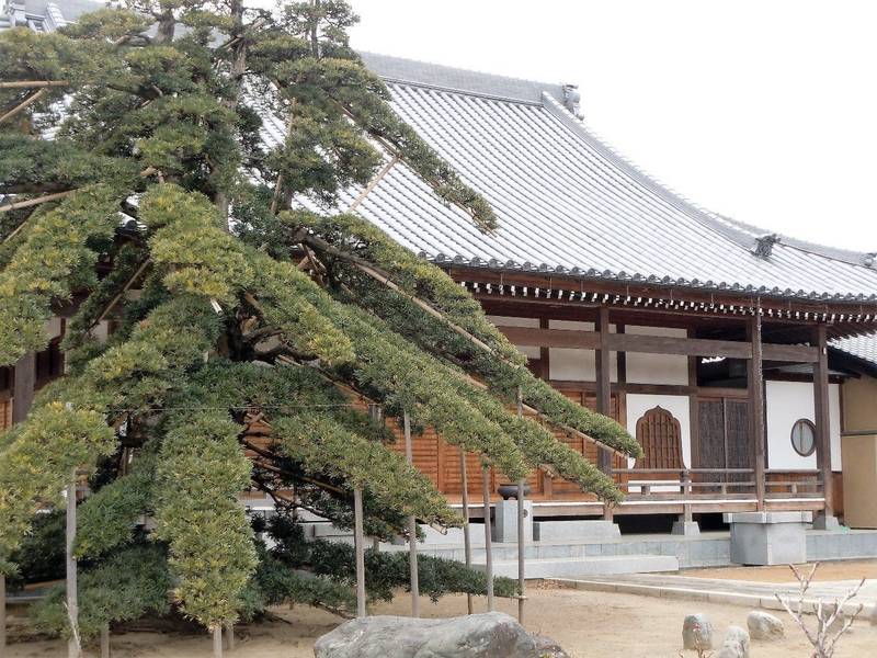 宝珠山 玉洞院 光明禅寺