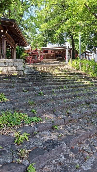 桐生西宮神社,見どころ,オオタケ
