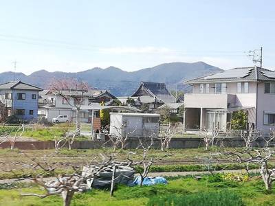 常徳寺,見どころ,