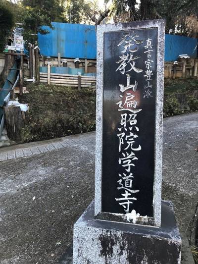 遍照院学道寺,見どころ,とし