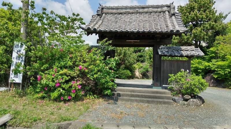 泰善寺,静岡県焼津市中根388