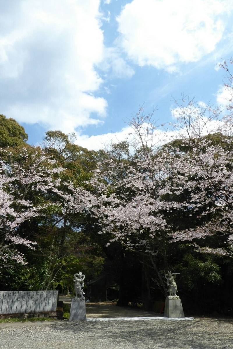 飯積寺,高知県幡多郡黒潮町田野浦
