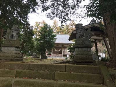 高田神社,見どころ,ほし