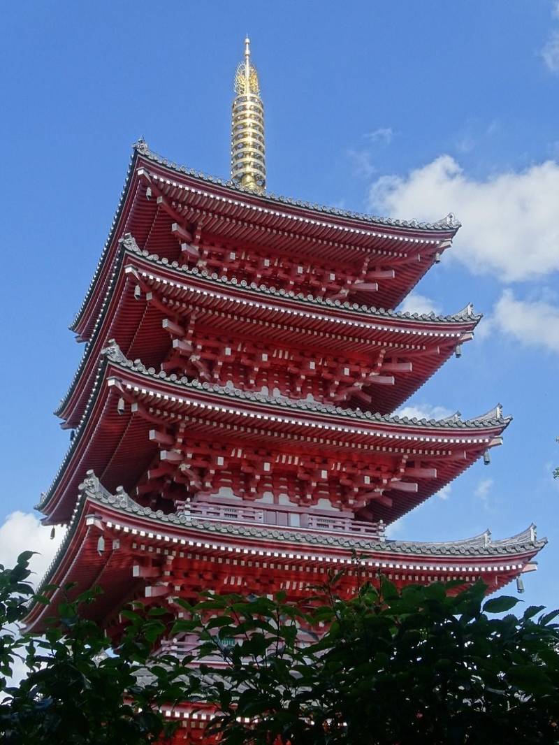 蓮華院誕生寺  (本院),熊本県玉名市築地2288