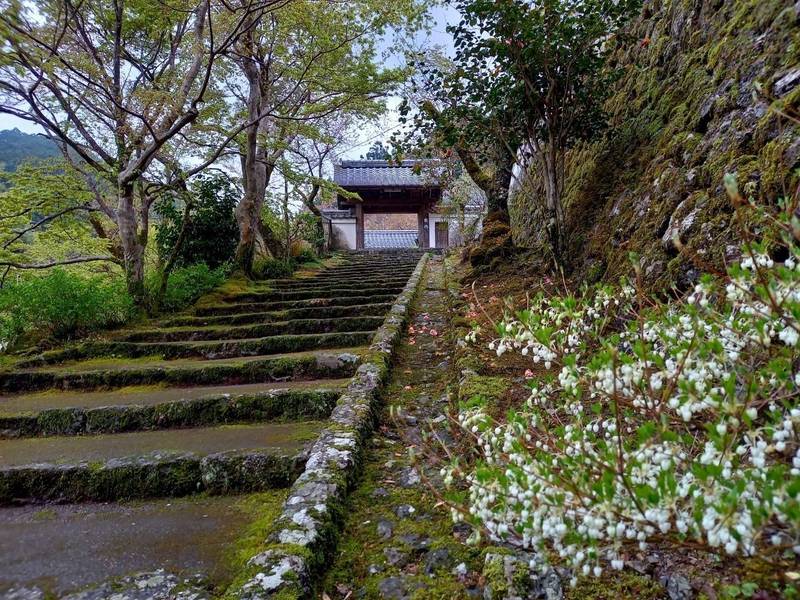 青源寺,高知県高岡郡佐川町甲1460