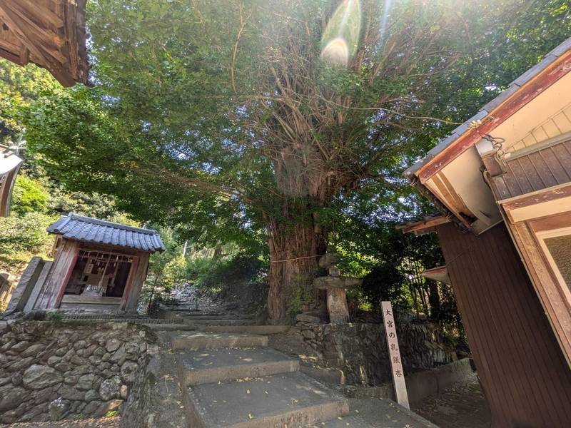 大宮八幡神社   (佐那河内村),徳島県名東郡佐那河内村下字高樋79