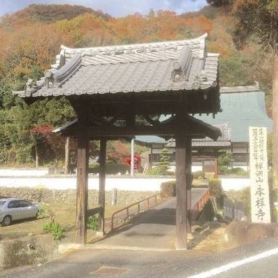 永祥寺,見どころ,Y.Shiraga