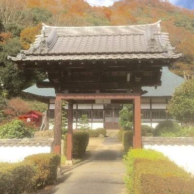 永祥寺,見どころ,Y.Shiraga
