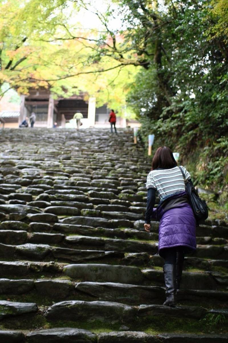神護寺,京都府京都市右京区梅ケ畑高雄町5