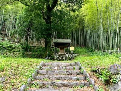 八幡神社  (大和町牧),見どころ,を神