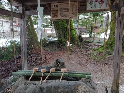 三朝神社,見どころ,shojiand40