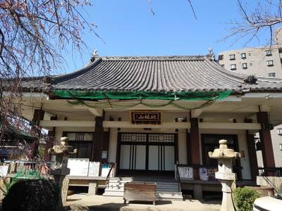 通安寺,見どころ,くま