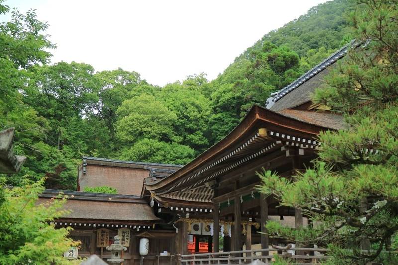 出雲大神宮 見どころ 亀岡市/京都府 Omairi(おまいり)