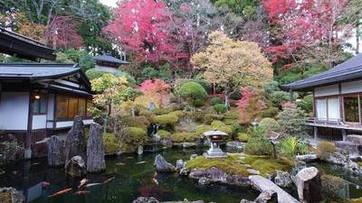 一乗院,見どころ,RYDEEN