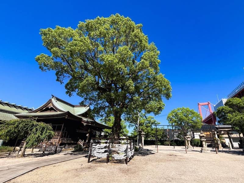 若松恵比須神社,福岡県北九州市若松区浜町1丁目2-37