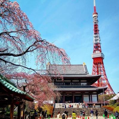 東京都の御朱印 神社 お寺 人気ランキング Omairi おまいり