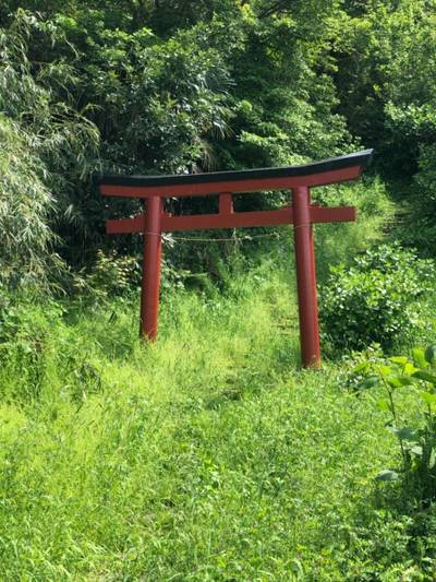 大蔵稲荷社  (雪の下),見どころ,you