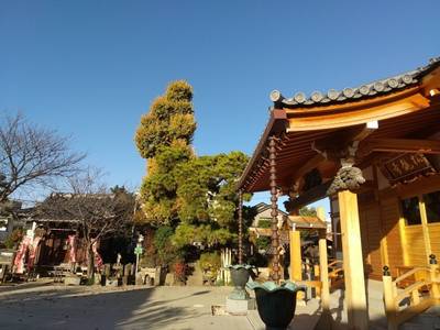 松龍寺 松戸市/千葉県 Omairi(おまいり)