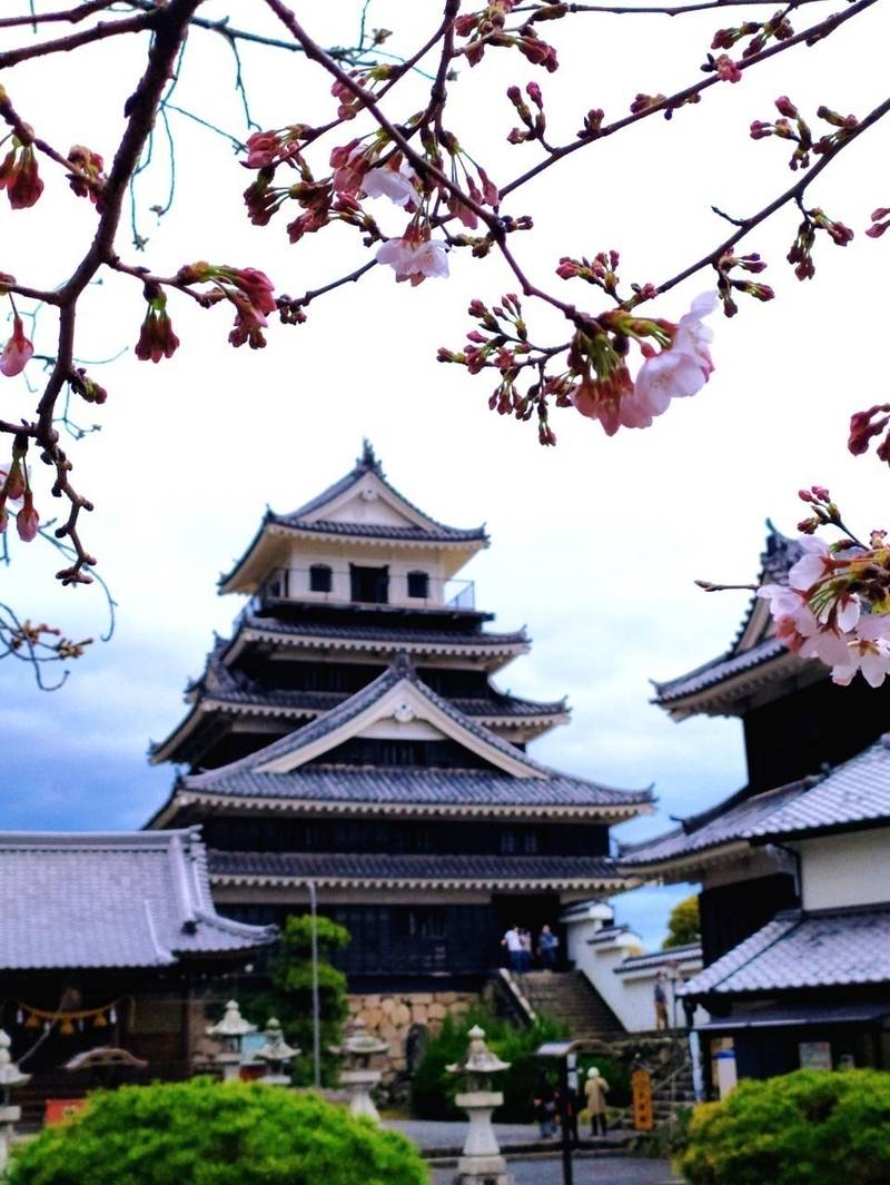 Teaf8tmqbimvlm Teaf8tmqbimvlm