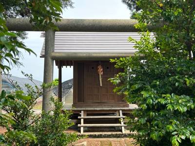 遠賀神社     (遠賀原),見どころ,小龍