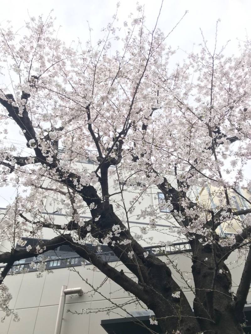 谷畑辯財天,東京都目黒区自由が丘1-15-19