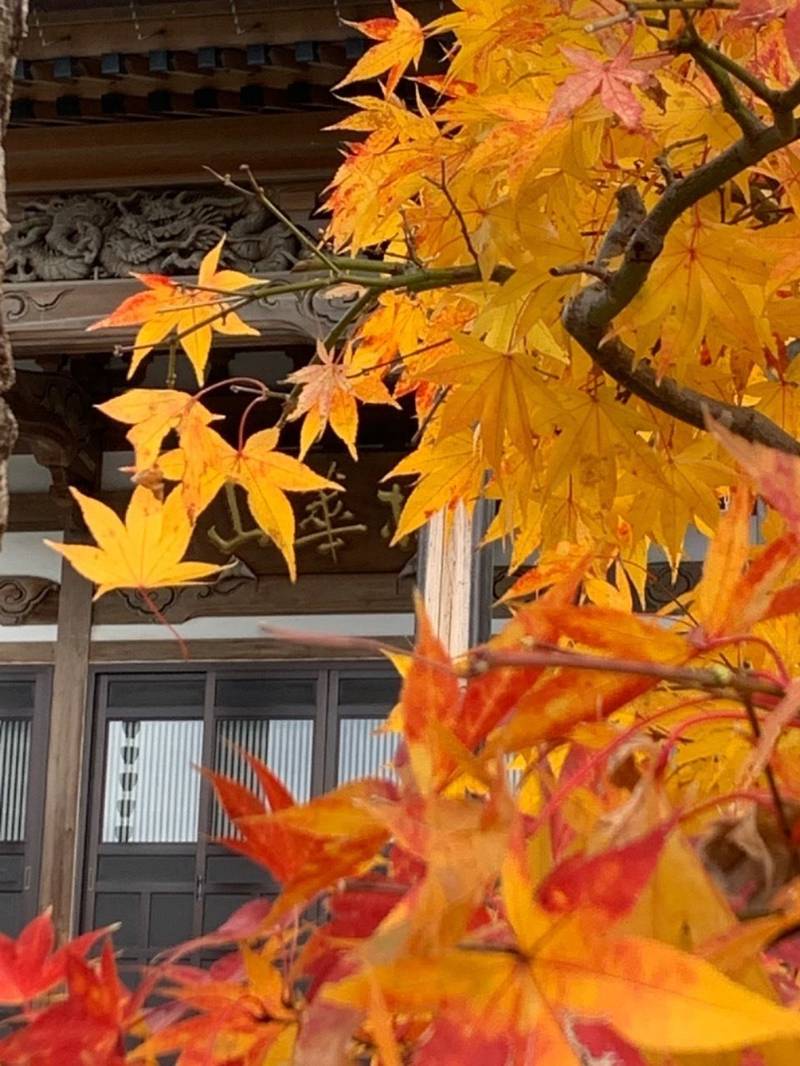 実相寺,宮城県仙台市泉区市名坂実相寺1