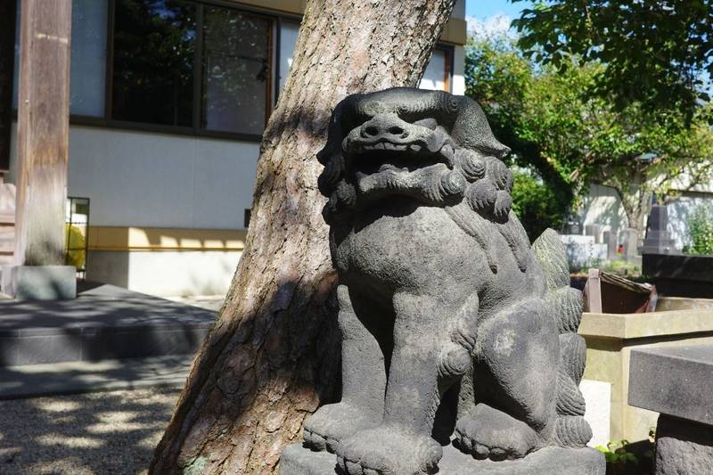 普伝寺,秋田県秋田市大町4丁目5-37