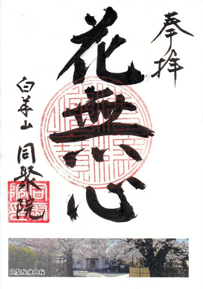 同聚院,群馬県伊勢崎市曲輪町14-5