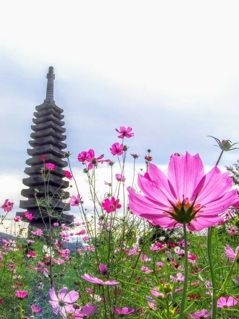 般若寺 見どころ 奈良市 奈良県 Omairi おまいり