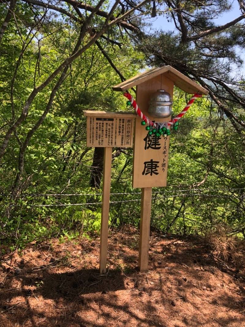 八雲神社    (昇仙峡),山梨県甲府市猪狩町1262