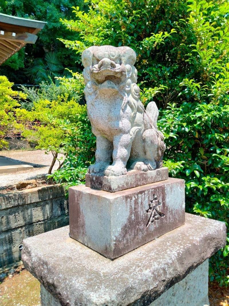 根岸白鬚神社,埼玉県狭山市根岸２丁目２５−２３
