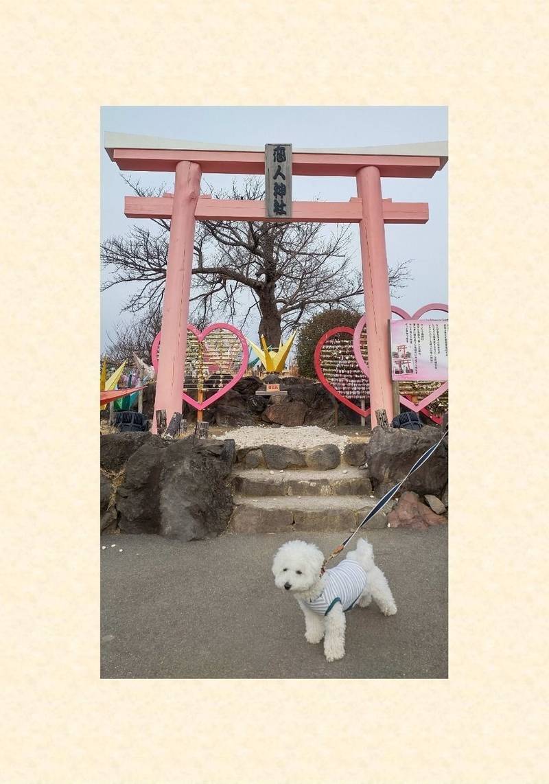 恋人神社,静岡県伊東市富戸1090（伊豆ぐらんぱる公園）