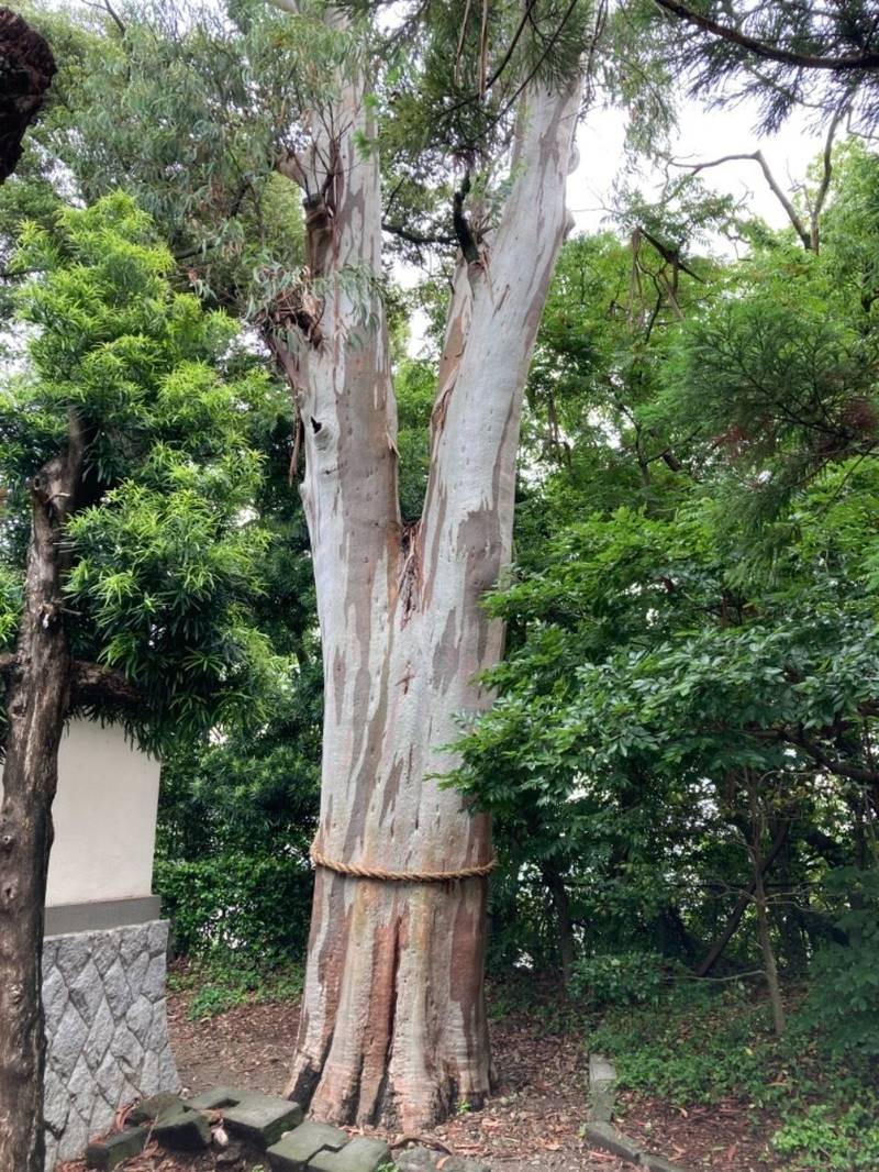 元城町東照宮の御朱印