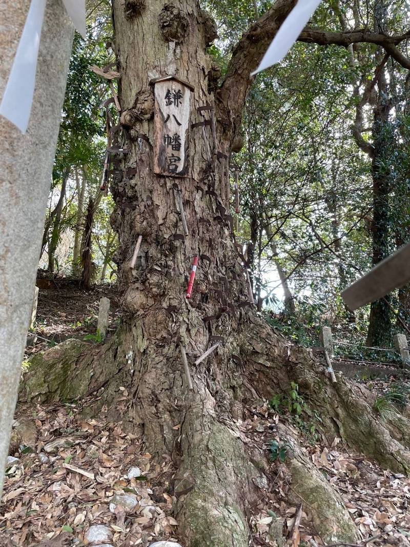 丹生酒殿神社・鎌八幡宮,和歌山県伊都郡かつらぎ町三谷631