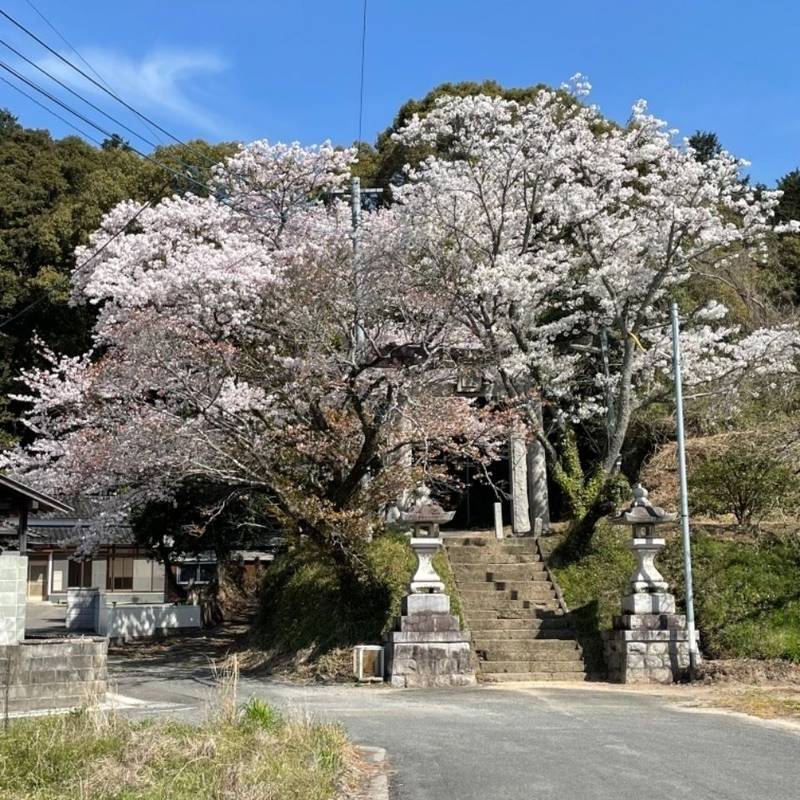 宝満宮,福岡県飯塚市花瀬344
