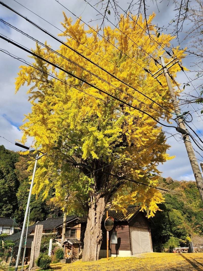 須義神社,兵庫県豊岡市出石町荒木273-1