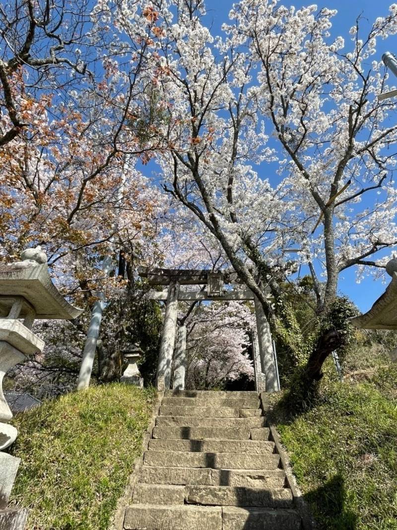 宝満宮,福岡県飯塚市花瀬344