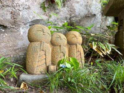 龍隠庵,見どころ,ほし
