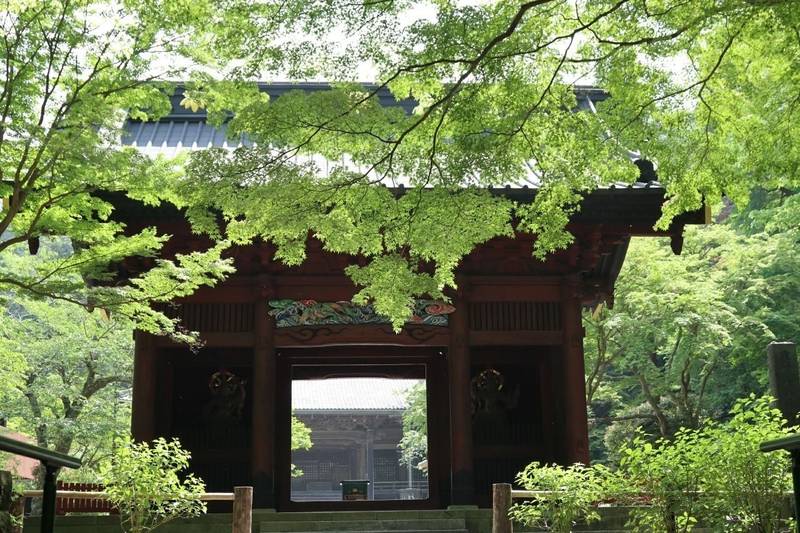 長興山 妙本寺 御朱印 鎌倉市 神奈川県 Omairi おまいり