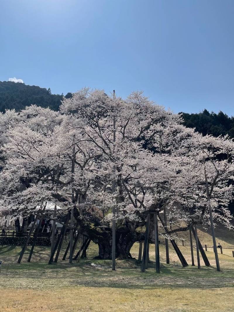 淡墨観音堂,岐阜県本巣市根尾板所1014