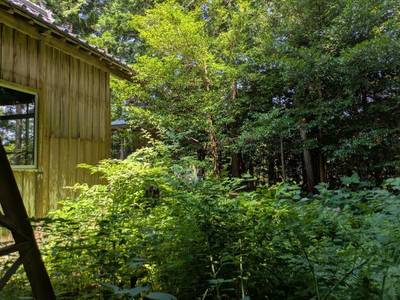 御間都比古神社,見どころ,たこたこ