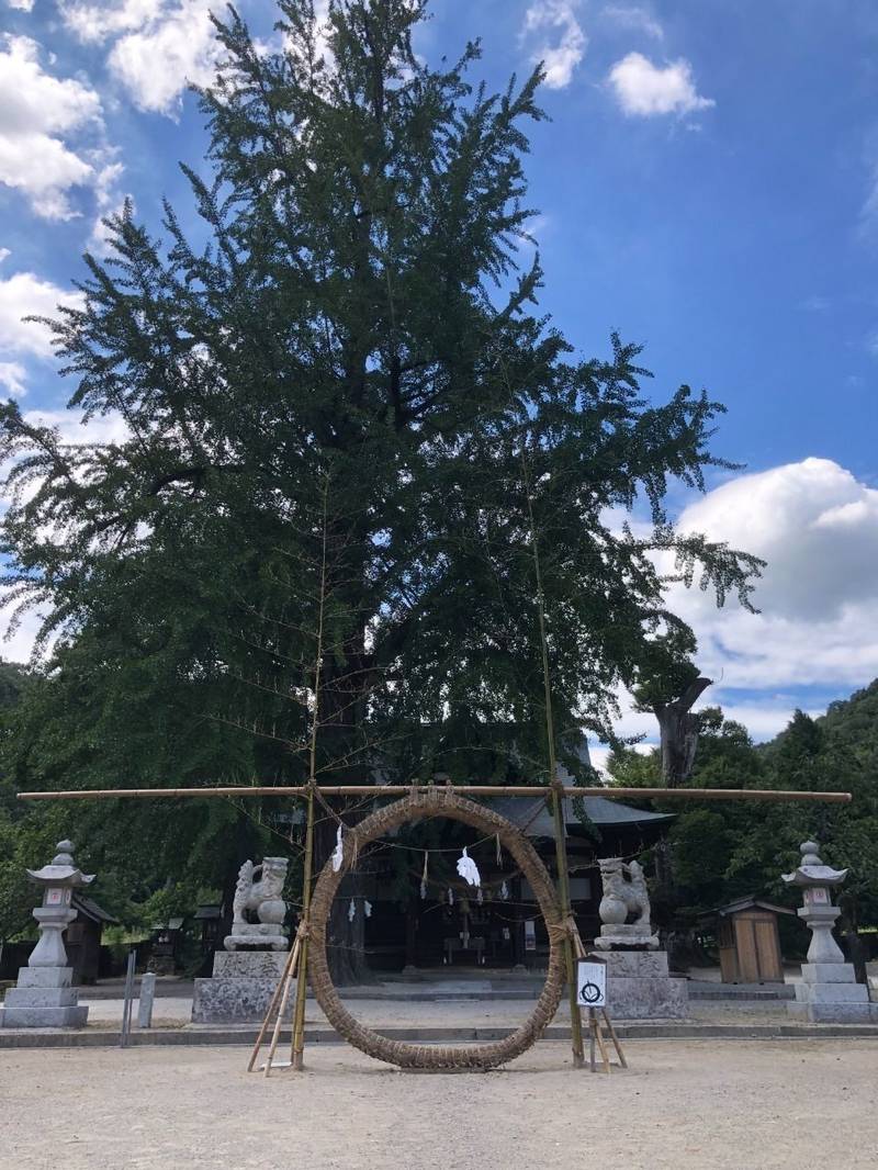 賀羅加波神社の御朱印