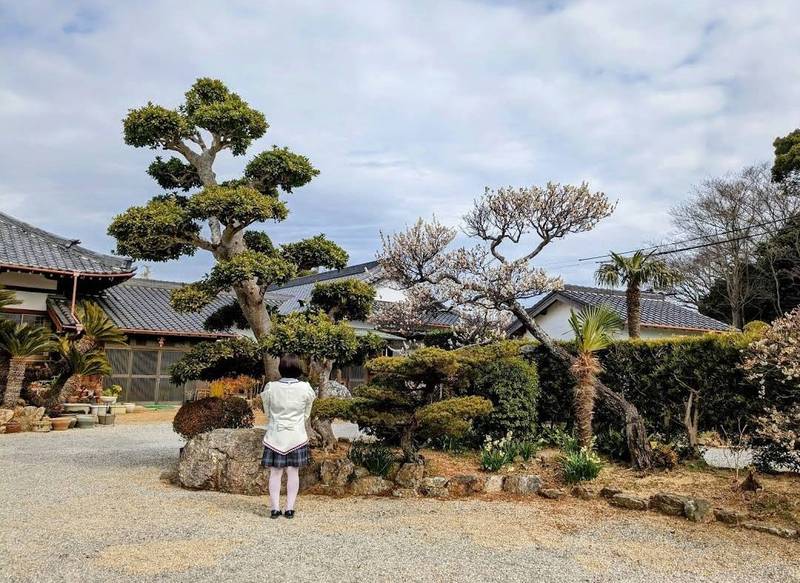 霊巖寺,愛知県田原市田原町北番場３
