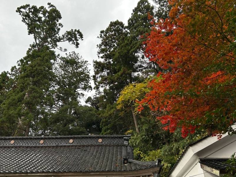 菅原神社 (加茂本郷),新潟県佐渡市羽茂本郷