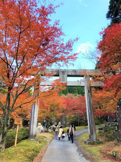 英彦山大権現,見どころ,晴れナナ