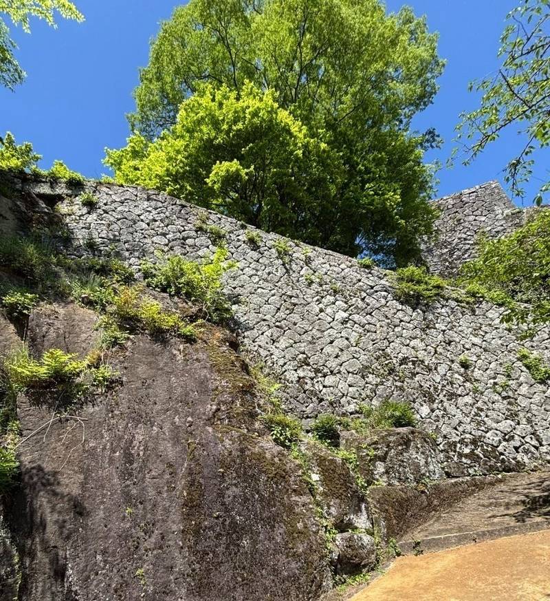 岡城跡,大分県竹田市竹田2889