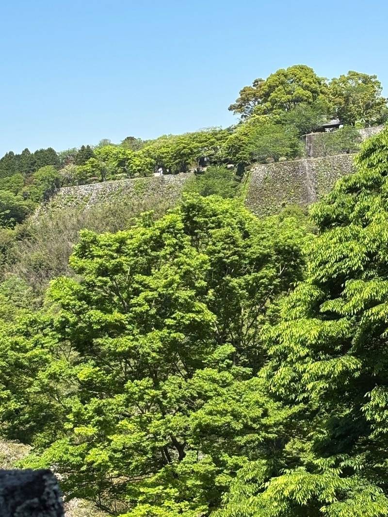 岡城跡,大分県竹田市竹田2889