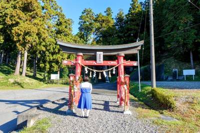 春岡神社,見どころ,平沢凛